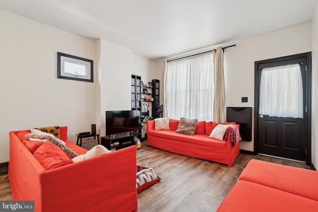 living room featuring wood-type flooring