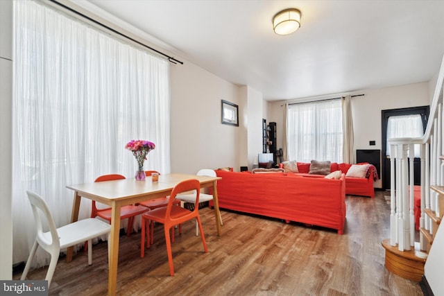 living room with hardwood / wood-style floors