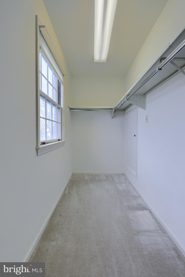 spacious closet featuring light carpet