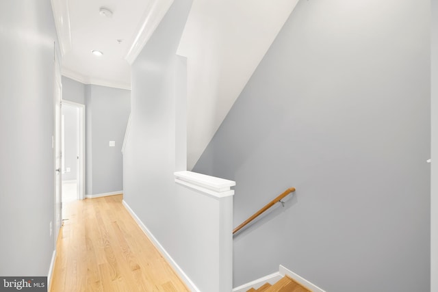 hall featuring light wood-type flooring and crown molding