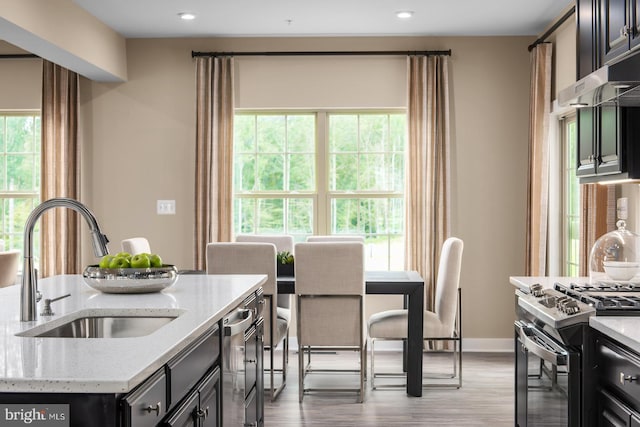 kitchen with gas stove, light stone countertops, a kitchen island with sink, and sink