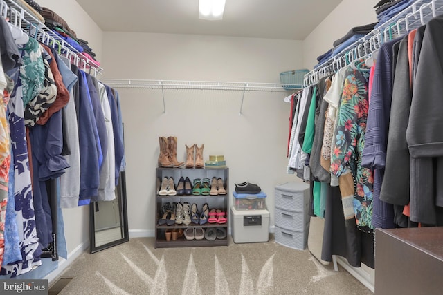 walk in closet featuring carpet flooring