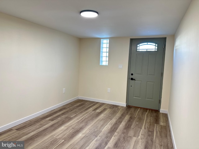 foyer with wood-type flooring