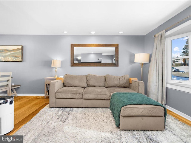 living room featuring wood-type flooring