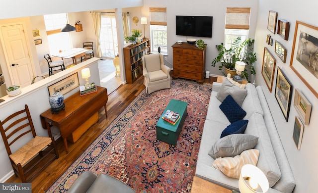 living room featuring hardwood / wood-style flooring