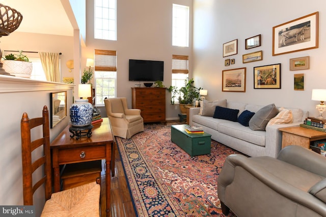 living room featuring a towering ceiling and hardwood / wood-style floors