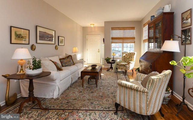 living room featuring dark wood-type flooring