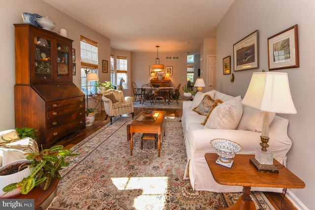 living room featuring wood-type flooring