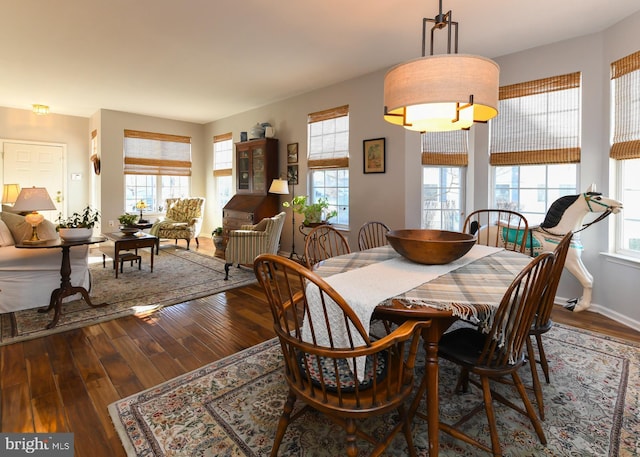 dining room with hardwood / wood-style floors