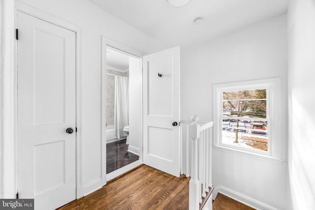 hallway featuring dark hardwood / wood-style floors