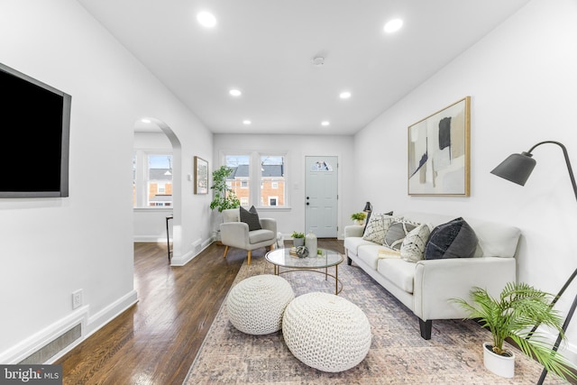 living room featuring dark wood-type flooring