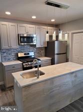 kitchen with tasteful backsplash, dark hardwood / wood-style floors, sink, and stainless steel appliances