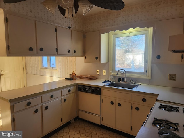 kitchen featuring dishwasher, ceiling fan, cooktop, and sink