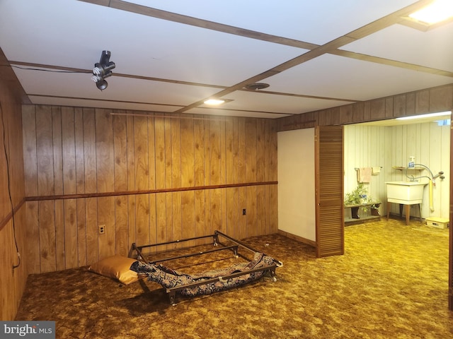 basement featuring carpet, sink, and wood walls