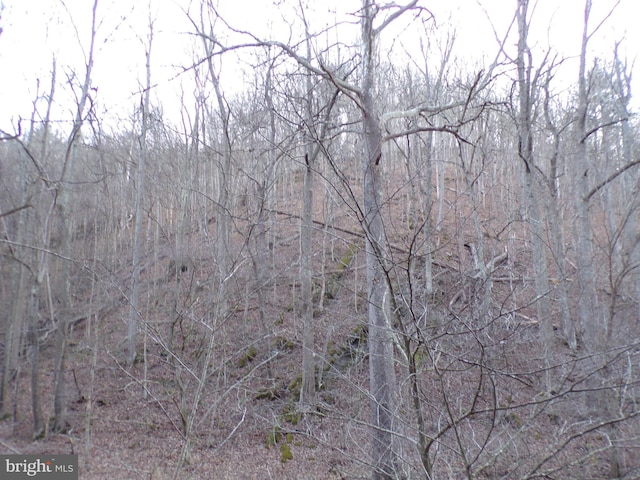 Town Creek Rd, Flintstone, MD 21530