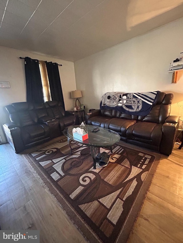 living room featuring wood-type flooring