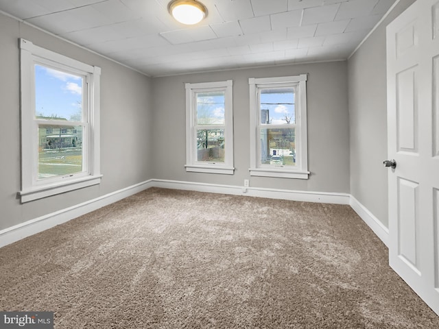 carpeted spare room featuring ornamental molding