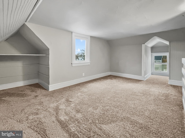 additional living space with a healthy amount of sunlight, light colored carpet, and vaulted ceiling