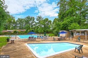 view of pool with a patio area