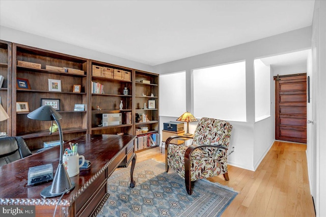 office area featuring light hardwood / wood-style flooring