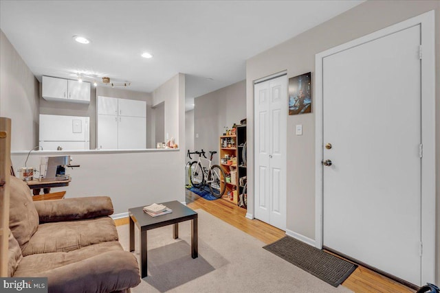 living room featuring light wood-type flooring