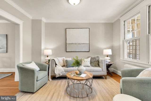 living room with baseboards, wood finished floors, and crown molding