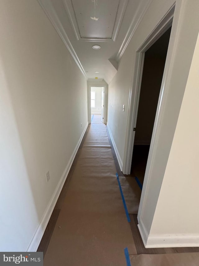 hallway with crown molding and dark hardwood / wood-style floors