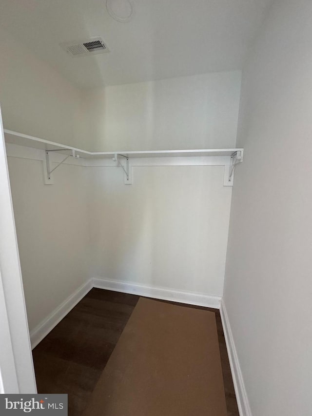 walk in closet featuring wood-type flooring