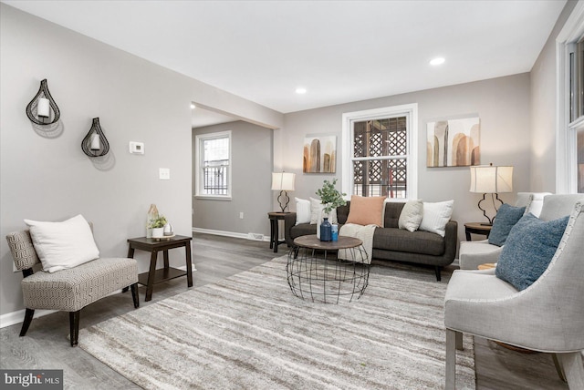 living room with wood-type flooring