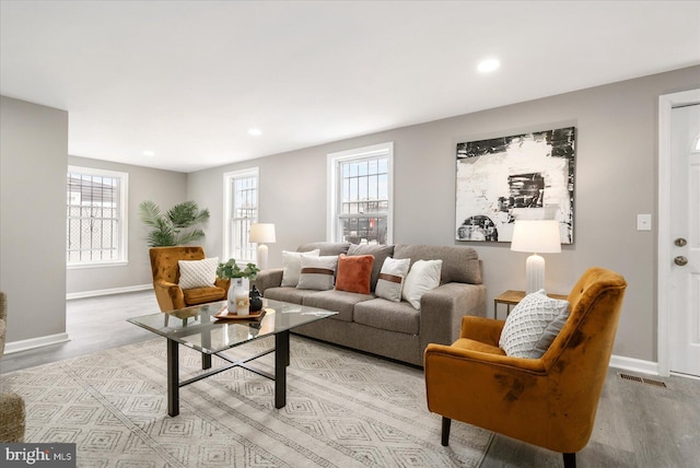 living room featuring light hardwood / wood-style flooring