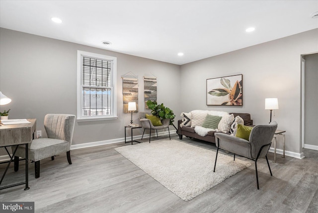 living room with wood-type flooring