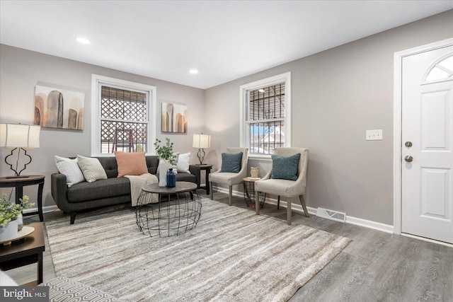 living room with hardwood / wood-style flooring