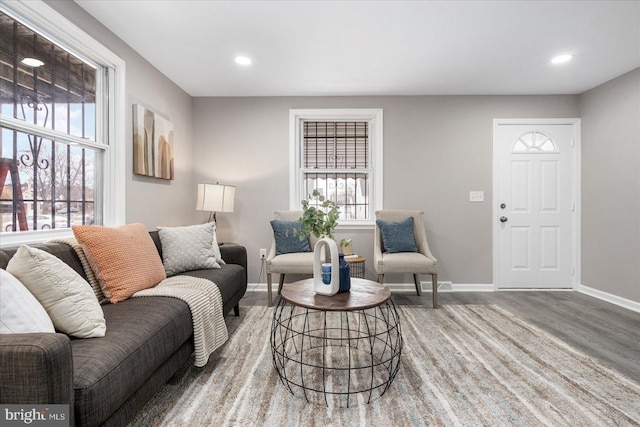 living room featuring hardwood / wood-style floors