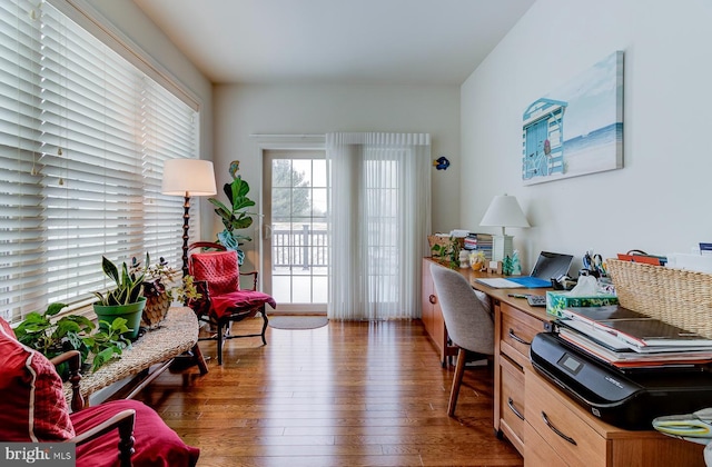 office featuring dark wood-type flooring