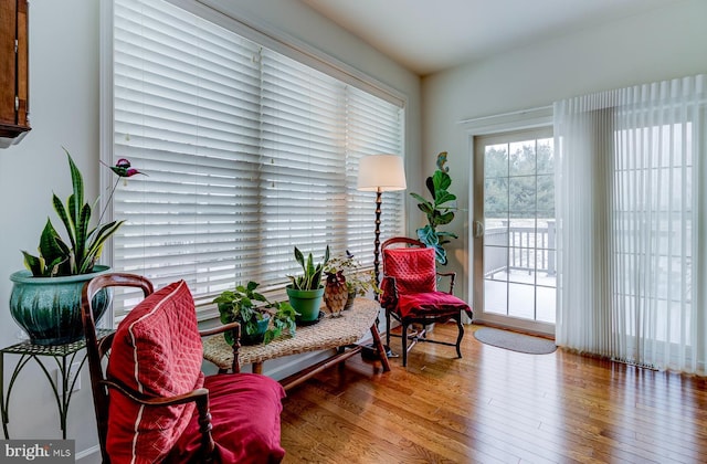 living area featuring hardwood / wood-style floors