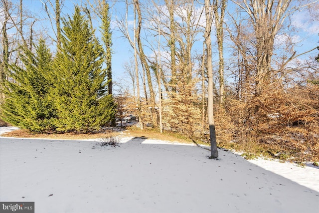 view of yard covered in snow