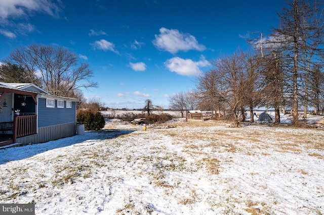 view of snowy yard