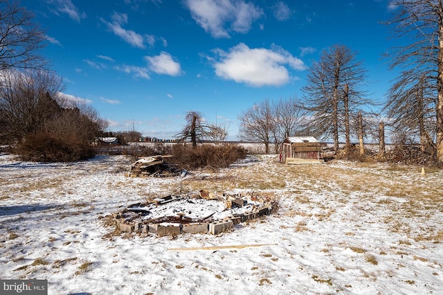 view of yard layered in snow