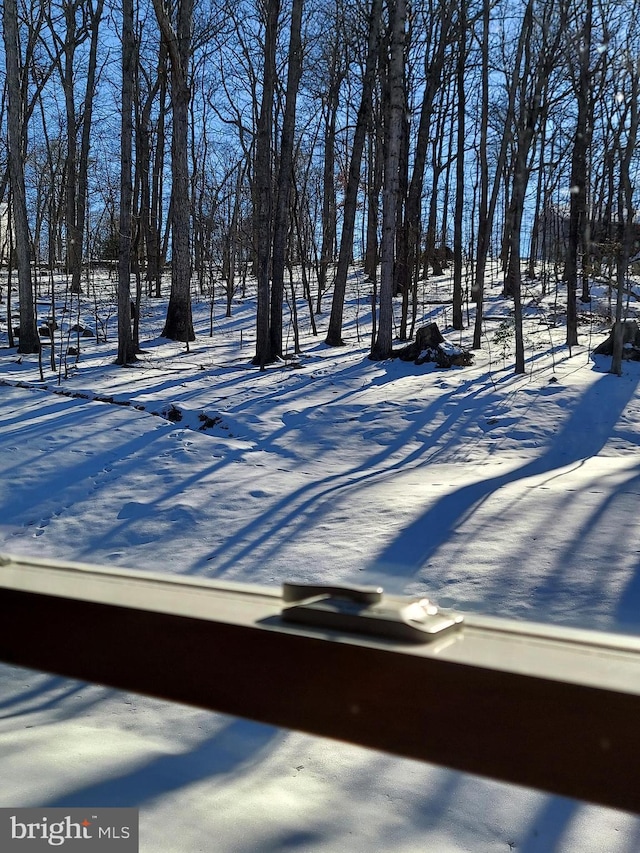 view of yard covered in snow