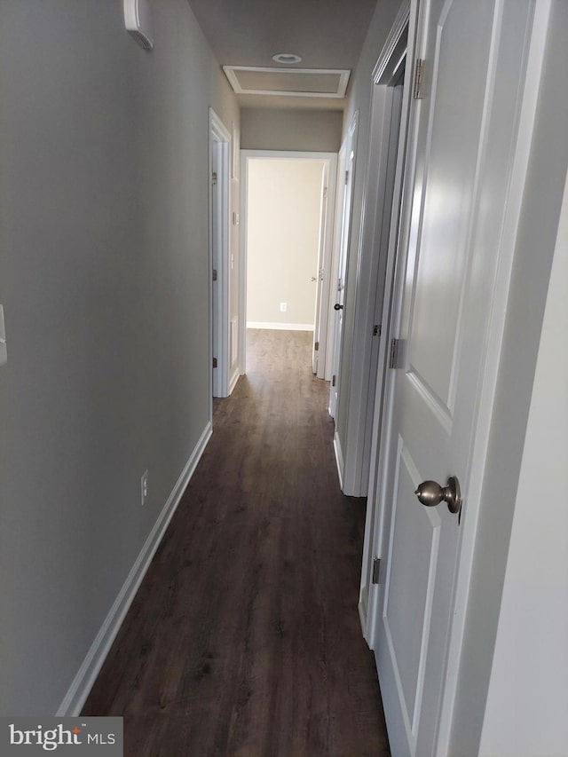 hallway featuring dark hardwood / wood-style flooring