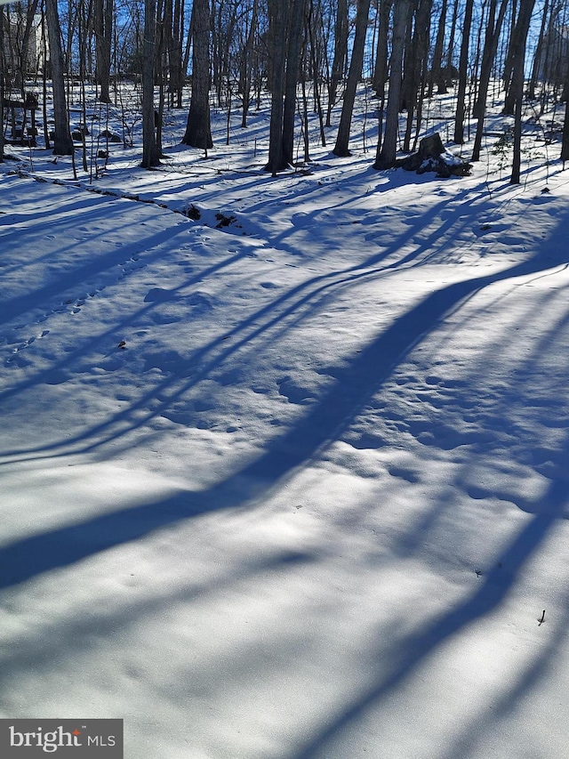 view of yard covered in snow