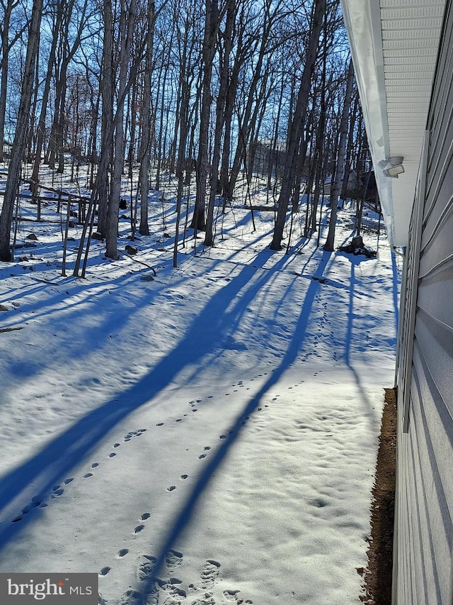 view of snowy yard