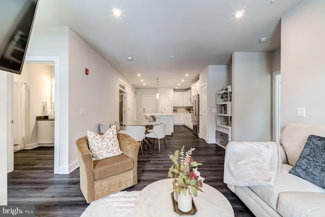 living room featuring dark wood-type flooring