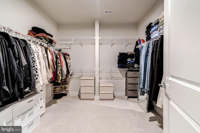 spacious closet with light carpet