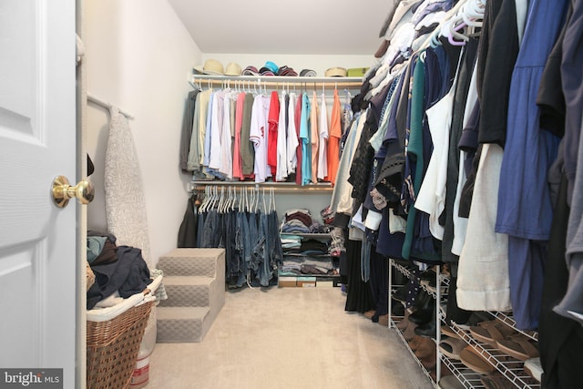 spacious closet with carpet