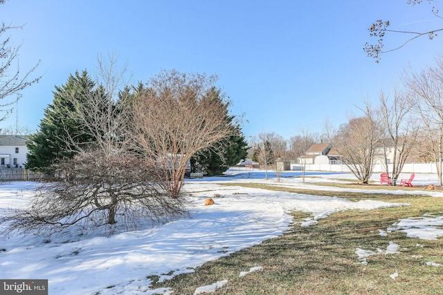 view of snowy yard