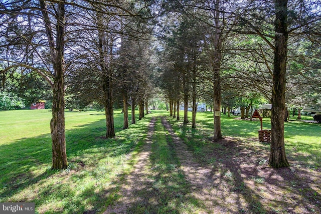 view of green lawn