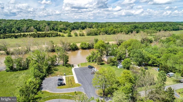 birds eye view of property with a water view and a view of trees