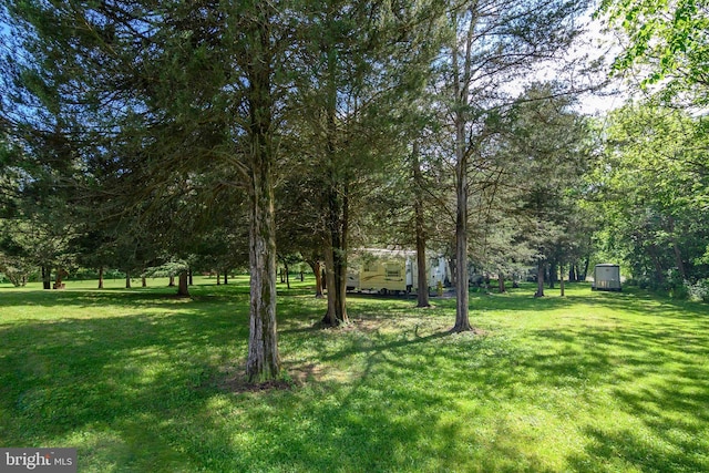 view of yard featuring a storage shed