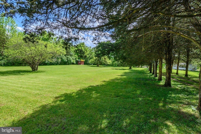 view of yard with a storage shed and an outdoor structure